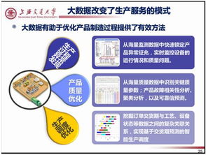 制造業(yè)大數(shù)據(jù)與軟件開發(fā) 36頁(yè)P(yáng)PT精華解讀